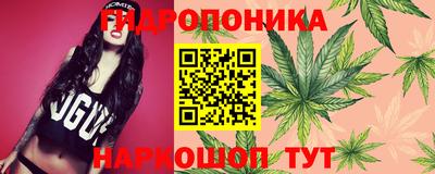 spice Кулебаки