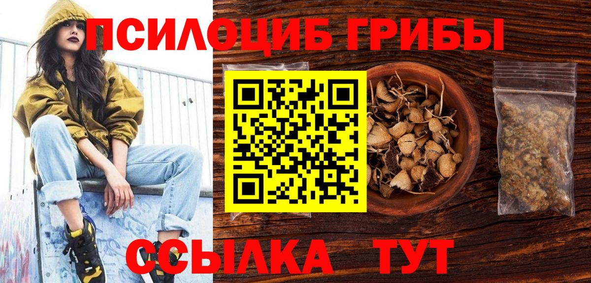 Галлюциногенные грибы Psilocybine cubensis Гусиноозёрск